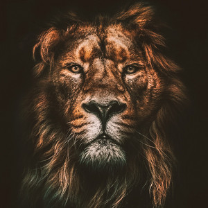 Que ruja o Leão 🦁🔥 | Mais Tocadas