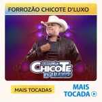 ForrozÃ£o Chicote D’ Luxo – Mais Tocadas (Playlist Atualizada)