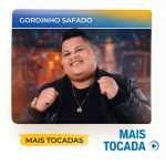 Gordinho Safado â€“ Artista de Piseiro, ForrÃ³, Arrocha, Seresta & Brega ðŸŽ¤