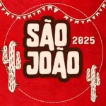 SÃ£o JoÃ£o 2025 ðŸ”¥ðŸŽ¶ As Mais Tocadas e Atualizadas â€“ Mais Tocadas