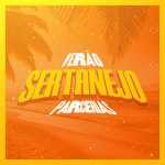 VerÃ£o Sertanejo Parcerias â€“ Hits e ColaboraÃ§Ãµes ðŸŽµ