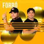 Forró, Piseiro & Pisadinha 2026 – As Melhores | Playlist Atualizada