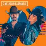 O Melhor do Agronejo, Agro & Country 2026 | Playlist Atualizada