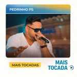 Pedrinho PS â€“ Mais Tocadas ðŸŽµ (Piseiro, ForrÃ³, Arrocha, Seresta & Brega)