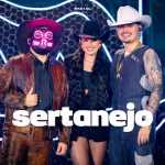 Sertanejo 2026 â€“ Mais Tocadas ðŸŽµ (Atualizado em 15/03/2026)
