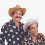 Tiao Carreiro & Pardinho: 20 Super Sucessos que Moldaram a MÃºsica de Raiz