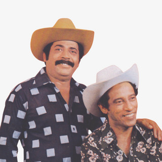 Tiao Carreiro & Pardinho: 20 Super Sucessos que Moldaram a Música de Raiz