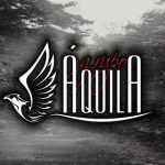 Grupo Aquila: 20 Super Sucessos que Encantam e a Playlist Oficial