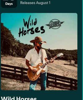 Chris Janson: 20 Sucessos Que Agitam o Country — Playlist e Análise