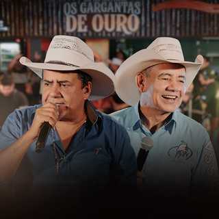 Os Gargantas De Ouro: 20 Sucessos que Encantam a Voz e a Alma do Brasil