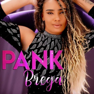 Banda Pank Brega: 20 super sucessos para as festas brasileiras