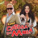 ForrÃ³ Cintura De Mola: 20 Super Sucessos para DanÃ§ar Sem Parar