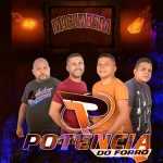 PotÃªncia Do ForrÃ³: 20 Sucessos que Agitam o ArraiÃ¡ â€” Playlist 25066