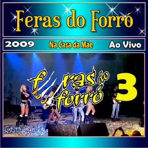Feras Do Forró: a playlist que embala o forró moderno