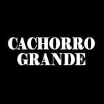Cachorro Grande: 20 super hits para reviver o rock brasileiro
