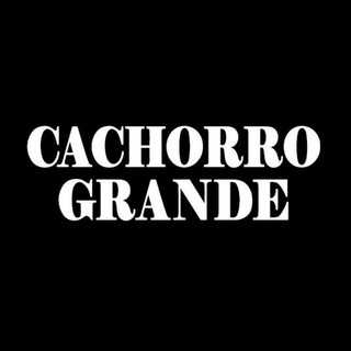 Cachorro Grande: 20 super hits para reviver o rock brasileiro